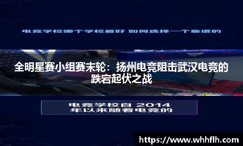 333体育