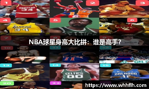 333体育官网入口