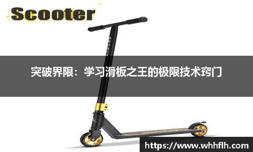 333体育官网入口